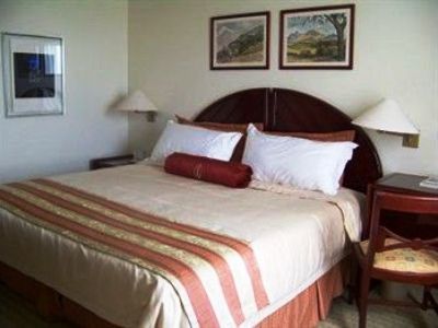 Venetur Orinoco Hotel Ciudad Guayana Bagian luar foto